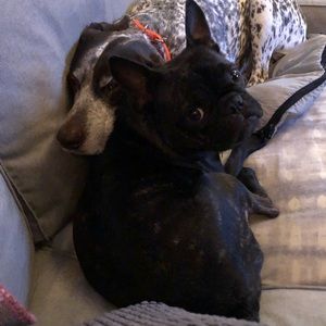 Meet your Posher, Leslie